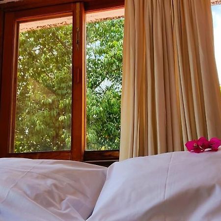 Ixlum Hoteles Y Casas Vacacionales Tepoztlán Dış mekan fotoğraf
