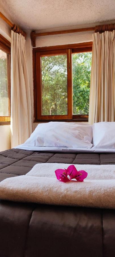 Ixlum Hoteles Y Casas Vacacionales Tepoztlán Dış mekan fotoğraf